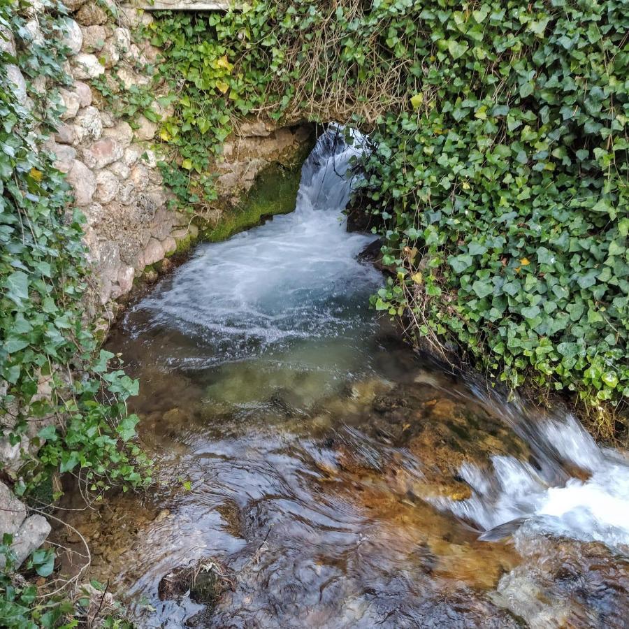 Casa Rural Las Nogueras Caserio Arroyofrio Εξωτερικό φωτογραφία
