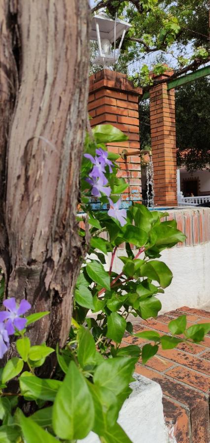 Casa Rural Las Nogueras Caserio Arroyofrio Εξωτερικό φωτογραφία