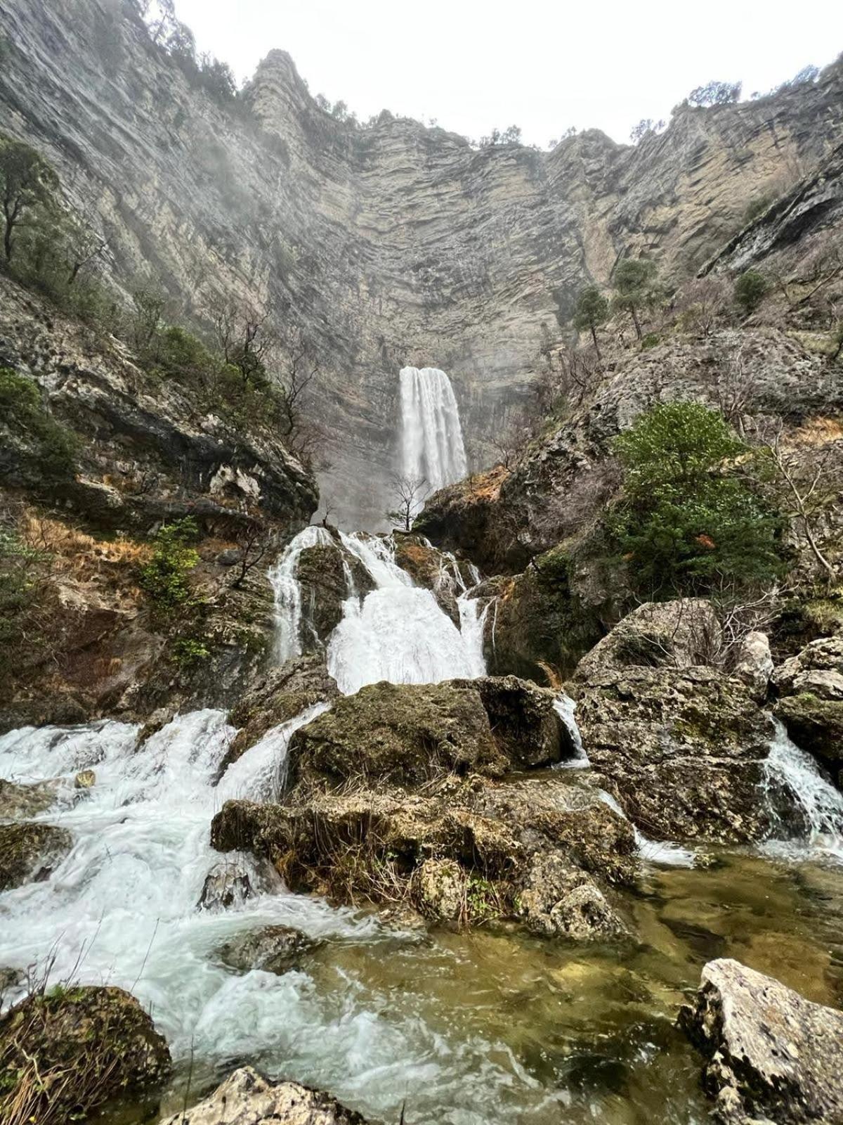 Casa Rural Las Nogueras Caserio Arroyofrio Εξωτερικό φωτογραφία