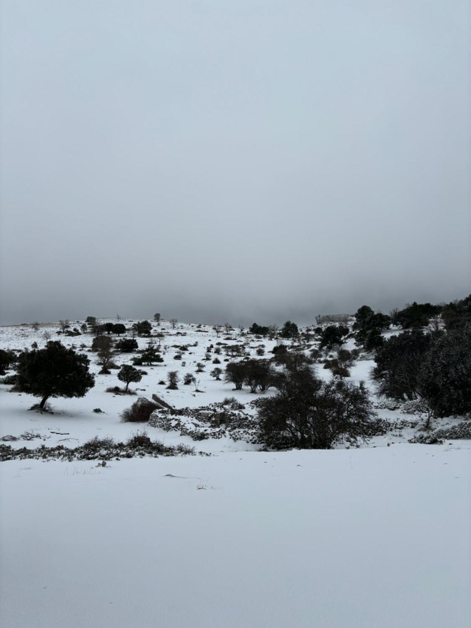Casa Rural Las Nogueras Caserio Arroyofrio Εξωτερικό φωτογραφία